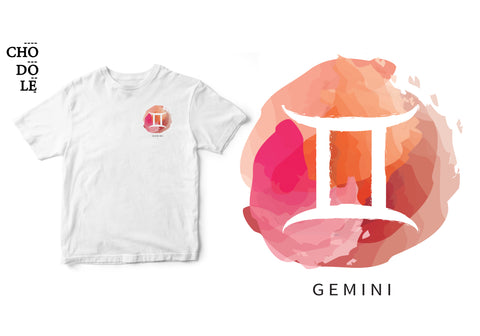 ÁO THUN UNISEX COTTON 100% IN HÌNH Cung hoàng đạo Gemini Song Tử