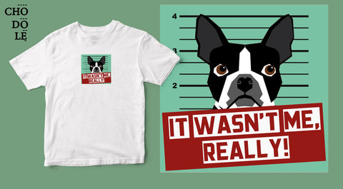 Áo thun unisex cotton 100% in hình Pet Lovers , It was not me - boston terrier (nhiều màu)