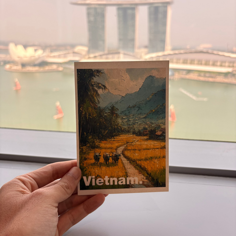 Vietnam Souvenir Postcard – Water Buffalo Rice Paddy