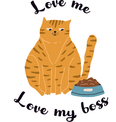Áo thun unisex in hình Cat lover - Love Me, Love my boss 13