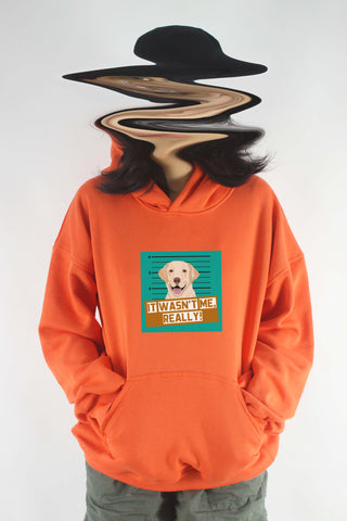 Áo khoác hoodie unisex cotton hình Pet Lovers , It was not me - Golden Retriever  (nhiều màu)