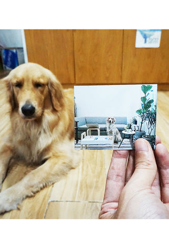 Miếng hít tủ lạnh giữ note in hình Beach car